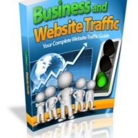 Business And Website Traffic