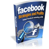 Facebook Strategies and Profits